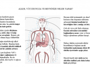 Alkolün Vücudumuza Etkileri