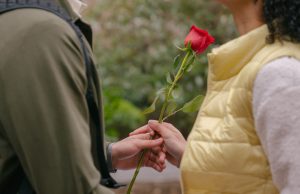 Bir Elmanın İki Yarısı Mı? Zıt Kutuplar Mı?