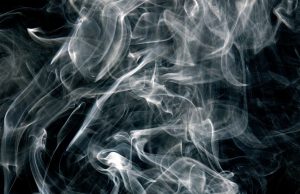 Bonzai Nedir? Neden Dikkat Edilmeli?