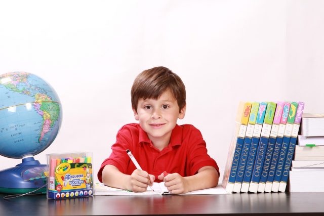boy-g60894a37b_1280.jpg öğrenme stilleri